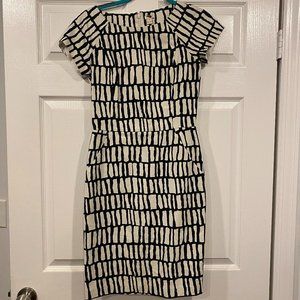 Navy and White Jcrew Dress